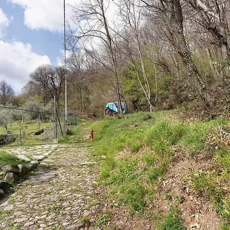 Apartment La Torretta Di Mozzola *