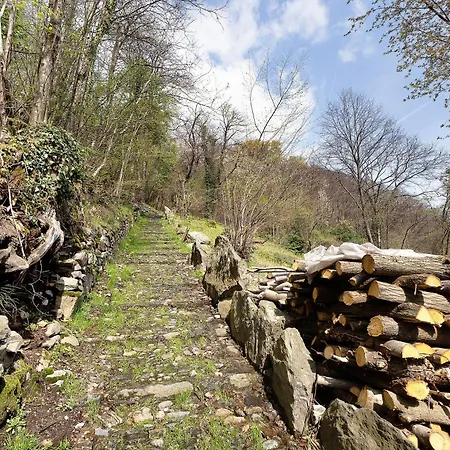 La Torretta Di Mozzola オッジェッビオ